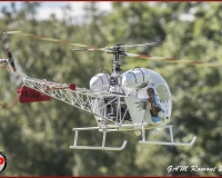TSR Watermark - 0469